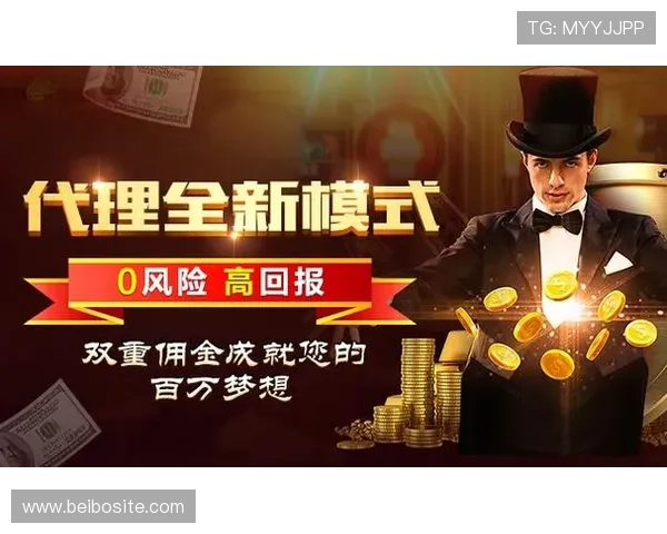 大赢家国际娱乐城：享受高额返水和丰富优惠活动的绝佳平台